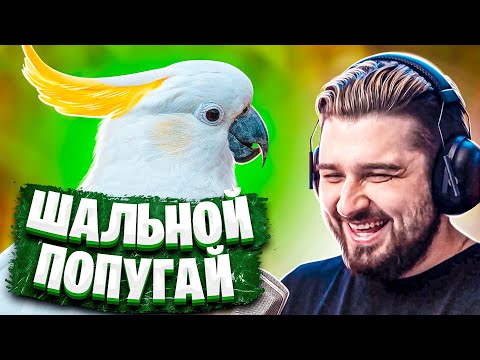 Видео: HARD PLAY СМОТРИТ БАЛТИМОР 13 МИНУТ СМЕХА ЛУЧШИЕ ПРИКОЛЫ ЯНВАРЬ 2020