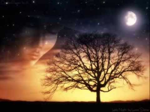 Видео: Йовин "Леди Ночь"