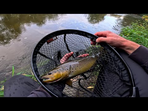 Видео: [Trout Fishing] Ручьевая Форель На Воблеры 4K