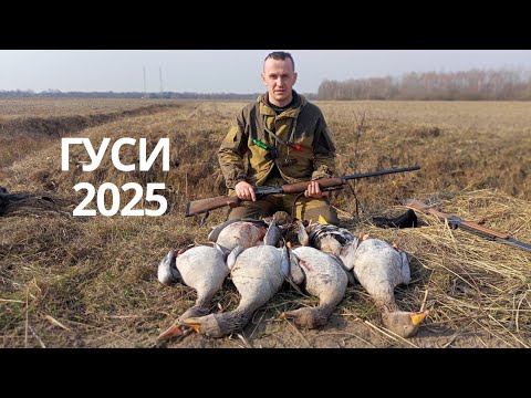 Видео: Открытие весенней охоты на гуся 2025!!! День второй.
