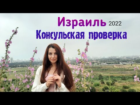 Видео: ИЗРАИЛЬ, консульская проверка Таглит/Маса/Репатриация 2022