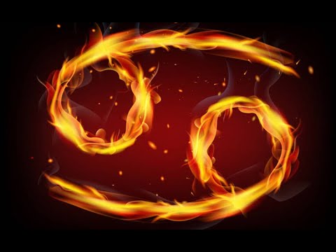 Видео: Раки (RYTP)