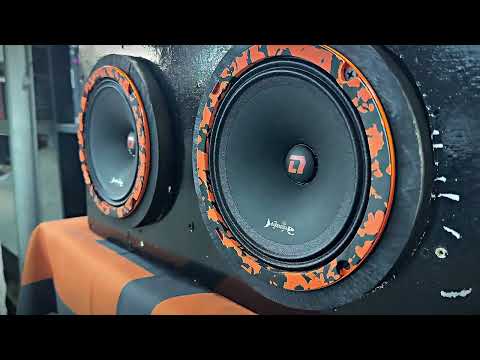 Видео: Новинка от компании Dl Audio Barracuda 165 V.2