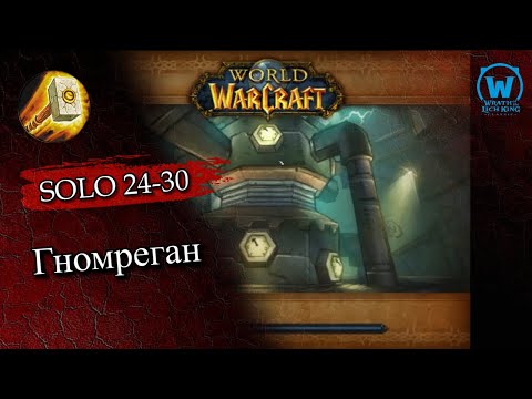 Видео: Прокачка паладина соло по подземельям 24-30 уровни Wotlk Classic #wotlk  #wotlkclassic