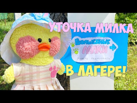 Видео: УТОЧКА МИЛКА В ЛАГЕРЕ! Собираем рюкзак в лагерь! Новая посылка!