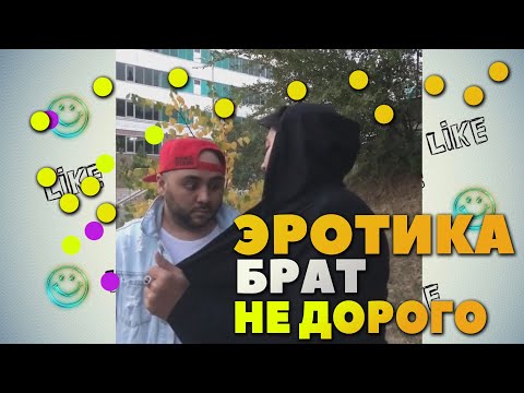 Видео: Отборные вайны от SEKA VINES #3