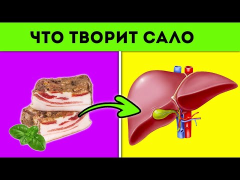Видео: Я ела сало каждый день и случилось | Польза и вред сала