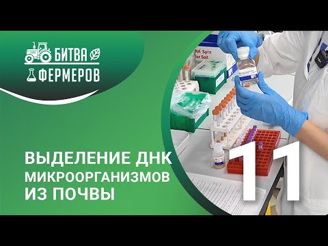 Видео: Выделение ДНК микроорганизмов из почвы/Битва фермеров/Серия 11