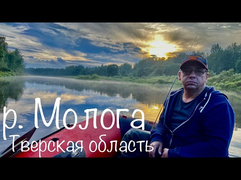 Видео: РЫБАЛКА С БАТЕЙ В ТВЕРСКОЙ ОБЛАСТИ. КРАСИВАЯ РЕКА. УХА НА КОСТРЕ.
