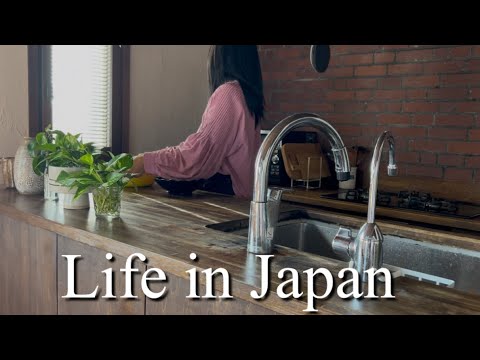 Видео: Ежедневно в Японии/Я внезапно уволился с работы/Японский ужин и керамика