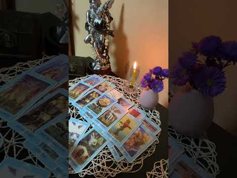 Видео: ЧТО НА ПОРОГЕ 🍀🍏🐦‍🔥🌺❤️
