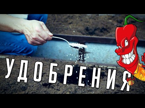 Видео: Удобрения для самых острых перцев!