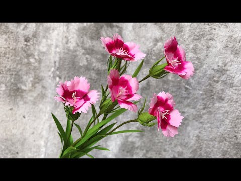 Видео: ABC TV | Как сделать гвоздику из бумажного цветка # 2 - Учебное пособие