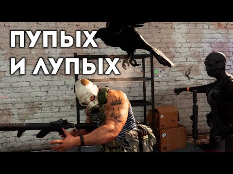 Видео: Пупых и Лупых | Call of Duty Warzone