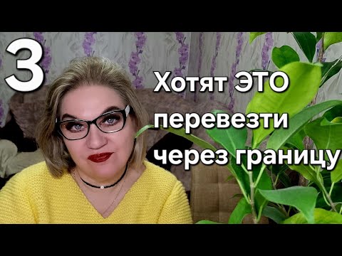 Видео: Хотят ЭТО перевезти через границу❗️