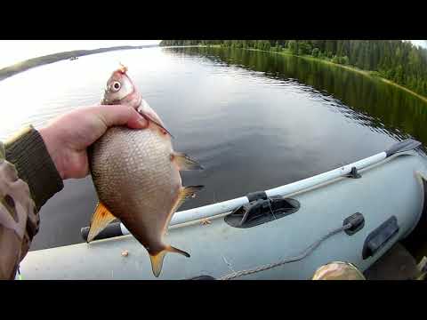 Видео: Лещевая рыбалка с лодки.Ловля леща на бортовые удочки.