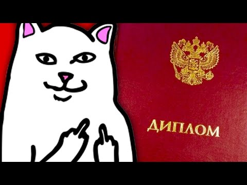 Видео: Я БРОСИЛ КОЛЛЕДЖ