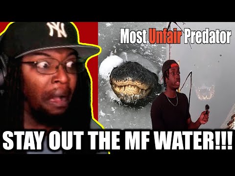 Видео: Почему это самый страшный хищник всех времён [Casual Geographic] Реакция DB