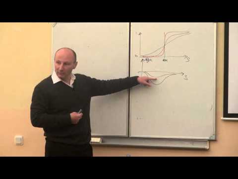 Видео: Моделируя модели или Next ''Next Model'' | Кирилл Ильинский | ФЭ ЕУСПб | Лекториум