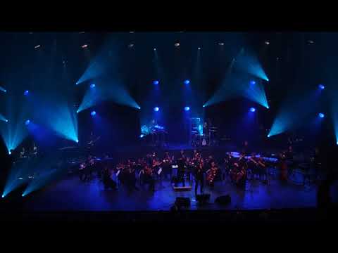 Видео: А.Горшенев с оркестром - «По раскрашенной душе» 23.05.2025 г. Москва (КЗ Москва) Весь концерт