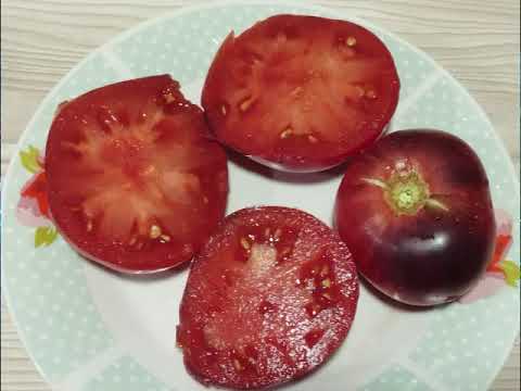 Видео: Каталог томатов.   Новинок 2025 года.  Часть 3.  г.  Киров