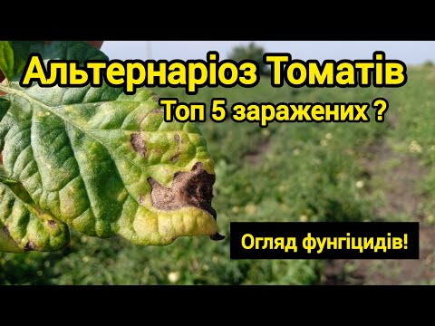 Видео: Альтернаріоз Томатів. Огляд Фунгіцидів. 