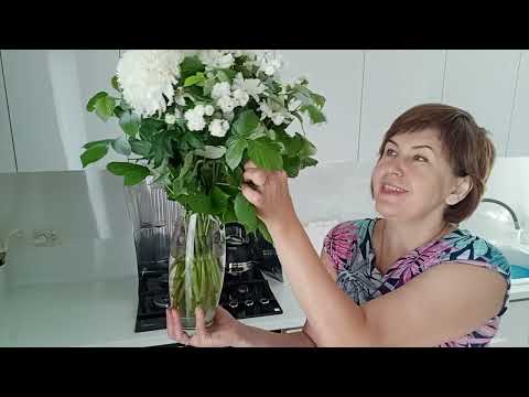 Видео: На зиму заготовила борщ с капустой/ Испытала новую сковороду//