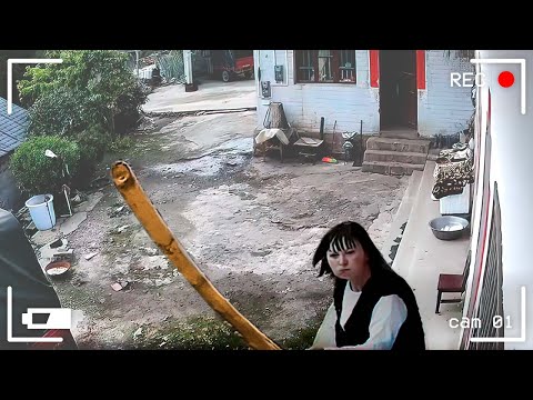 Видео: 40 Невероятных Моментов, Снятых на Камеры Наблюдения