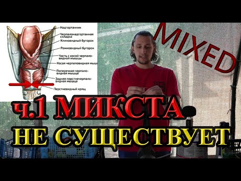 Видео: Микста не существует 