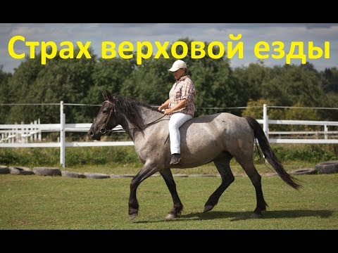 Видео: Про страх всадника.