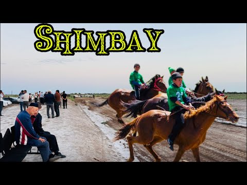 Видео: Шымбай. Жарлкасын Бердимуратовдынг баласыны уйлентиру тойы. АТШАБЫС, гурес, ылак..