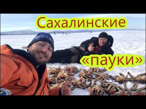 Видео: "Крабалка" | Ловля крабов на Сахалине