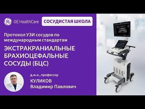 Видео: Сосудистая школа GE Healthcare. Экстракраниальные брахиоцефальные сосуды (БЦС). Сессия №1