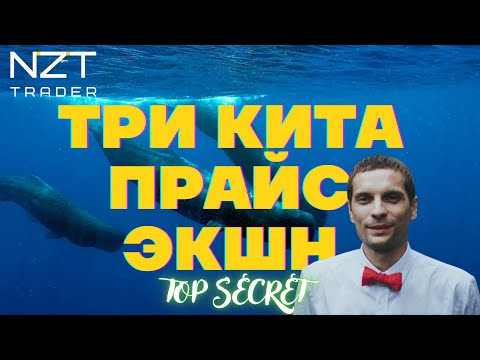 Видео: ТРИ КИТА ПРАЙС ЭКШН| АЛГОРИТМ РЫНКА КРИПТЫ, ФОРЕКС, ФОНДЫ| ТО, ЧТО БУДЕТ РАБОТАТЬ ВСЕГДА!