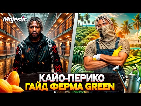 Видео: ПОЛНЫЙ ГАЙД по ФЕРМЕ GREEN на КАЙО-ПЕРИКО на MAJESTIC RP 2025! ФЕРМА ГРИН