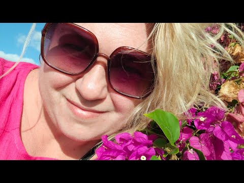 Видео: ТЦ ЧАЙКА ( КУБА, о. КАЙО-КОКО)16.01.2025