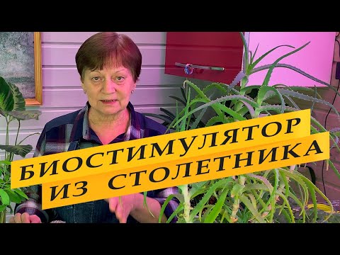 Видео: Стимулятор роста, подкормка для рассады и взрослых растений.