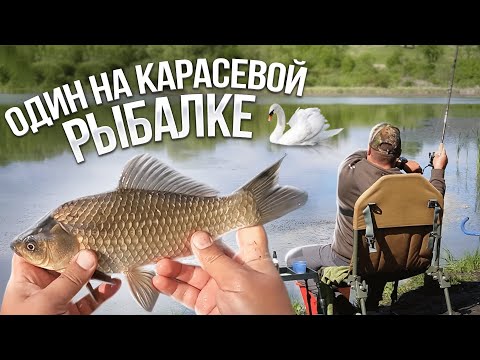 Видео: НАЕДИНЕ С ПРИРОДОЙ. Лайтовая рыбалка с фидером на карася в шикарном месте.