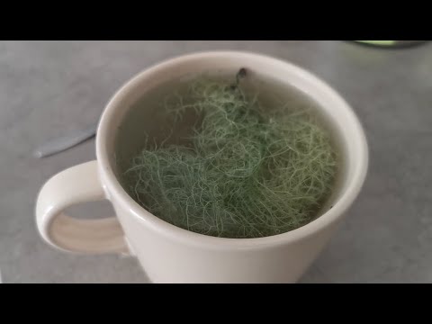 Видео: Не хворіти досить просто.