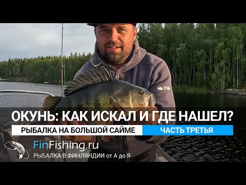 Видео: Как я искал и где нашел огромного окуня на большой Сайме. Рыбалка в Финляндии