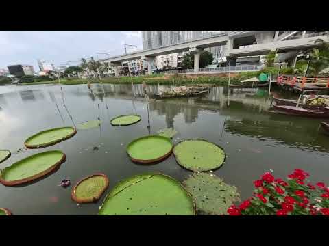 Видео: Хошимин (Вьетнам) / Ho Сhi Minh (Vietnam) Part 1