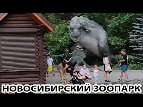 Видео: НОВОСИБИРСКИЙ ЗООПАРК