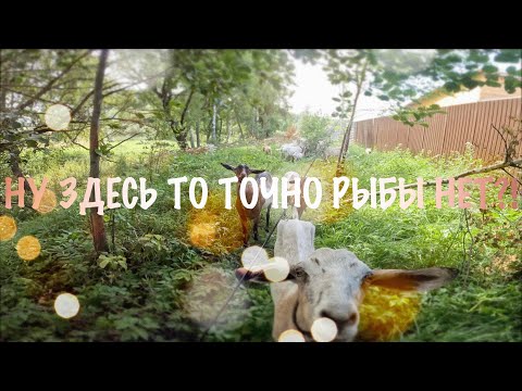 Видео: МОРМЫШИНГ. ЗДЕСЬ РЫБЫ НЕТ 3! ПЕРВАЯ МОРМОЩУКА