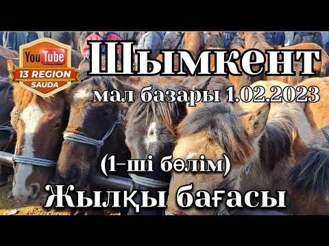 Видео: 1.02.2023 Шымкент қ. "Сандыбаев" атындағы мал базары.