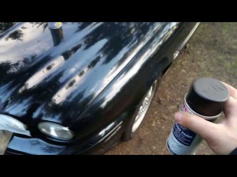 Видео: КАК ПОКРАСИТЬ JAGUAR КРАСКОЙ ИЗ ХОЗМАГА, В ЛЕСУ?! ОЧЕВИДНОЕ-НЕВЕРОЯТНОЕ!