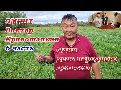 Видео: Один день из жизни целителя