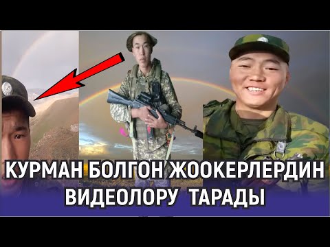 Видео: КУРМАН БОЛГОН ЖООКЕРЛЕРДИН ЖҮРӨКТҮ ЫЙЛАТКАН ВИДЕОЛОРУ  ТАРАДЫ