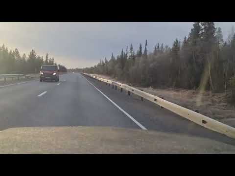Видео: 26.10.2025г.  На ниве тревел из Мурманска в Мончегорск.  С днем автомобилиста мои дорогие!