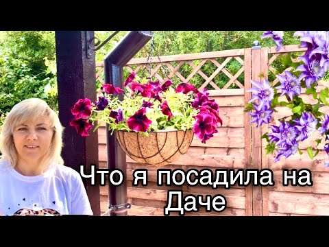 Видео: Что у нас растёт в  Теплице / Пересадила Цветы/  Дача в Германии