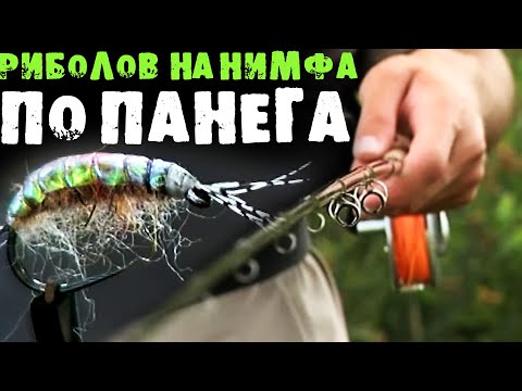 Видео: Как да хванем ПЪСТЪРВИ на НИМФА? / Станислав Мънков РАЗКРИВА ТАЙНАТА на р. Панега